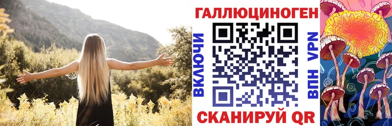 закладка  Полярные Зори  Псилоцибиновые грибы Psilocybine cubensis 
