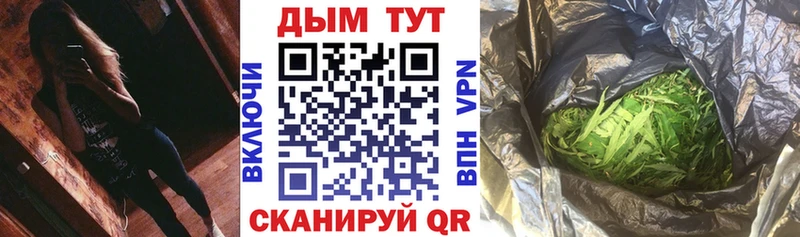 Каннабис семена Полярные Зори